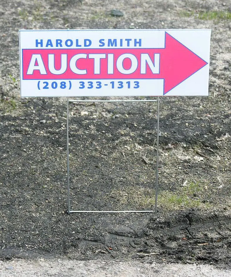 Small Full-Color Auction Arrow 6" X 16" (Min. 10) 1