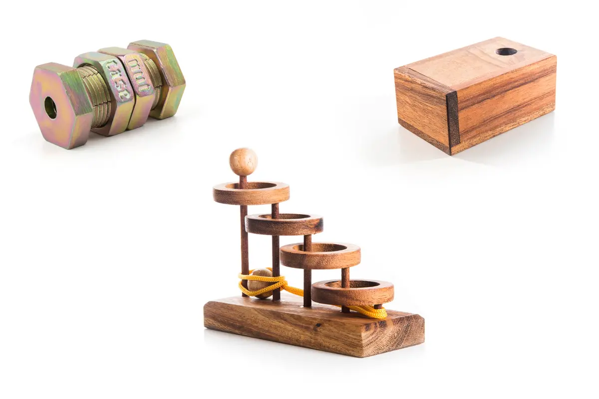 The Survivor’S Challenge Puzzle Set 1
