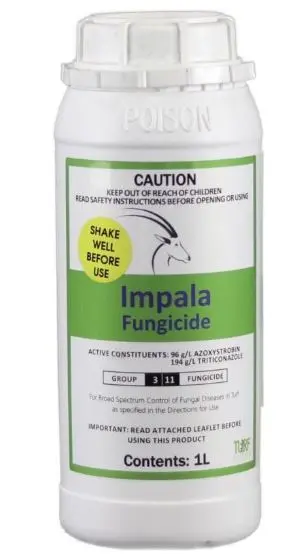 Impala (96 G/L Azoxystrobin, 194 G/L Triticonazole) 1