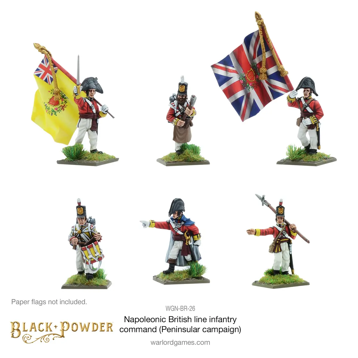 Napoleonic British Line Infantry Command (Pensinsular War) 1