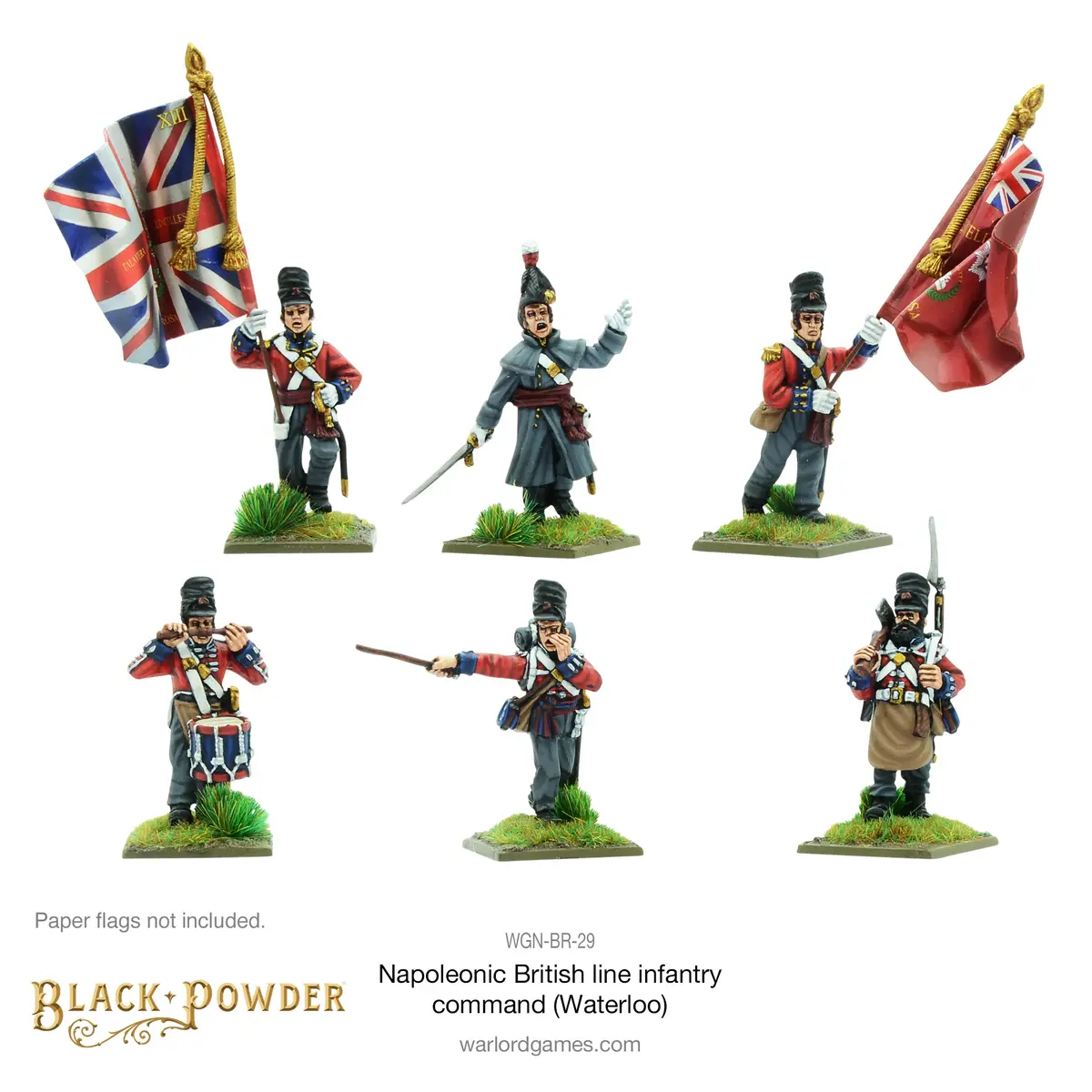 Napoleonic British Line Infantry Command (Waterloo Campaign) 1