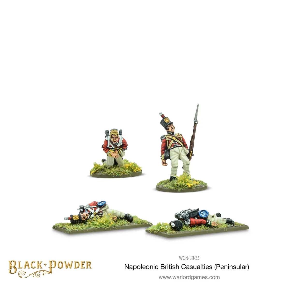 Napoleonic British Casualties (Peninsular) 1