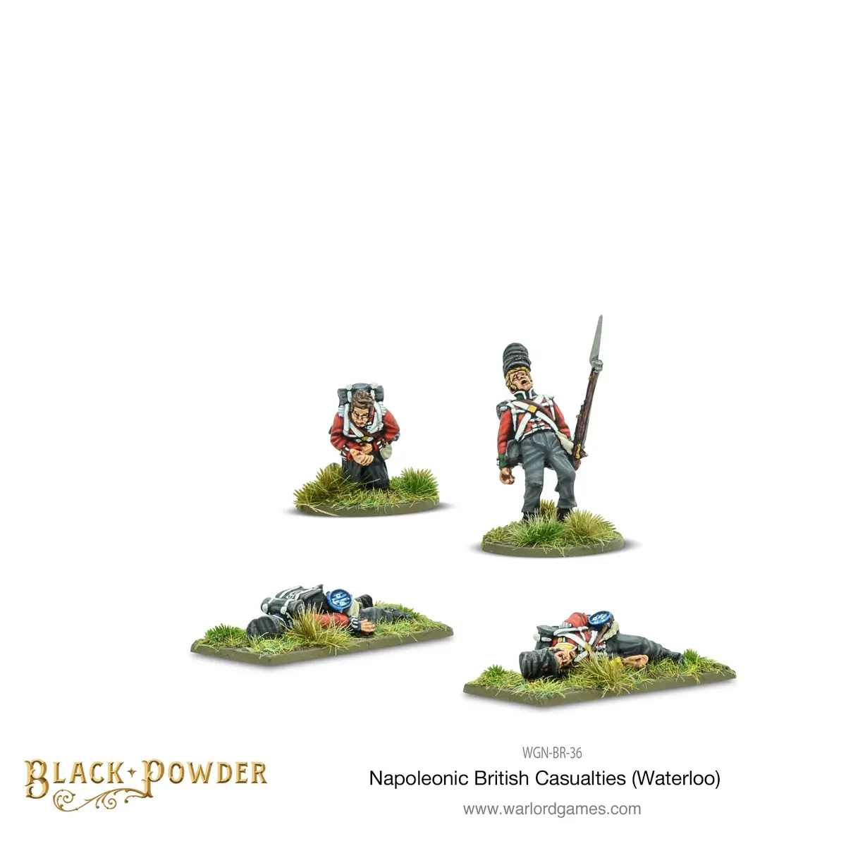 Napoleonic British Casualties (Waterloo) 1