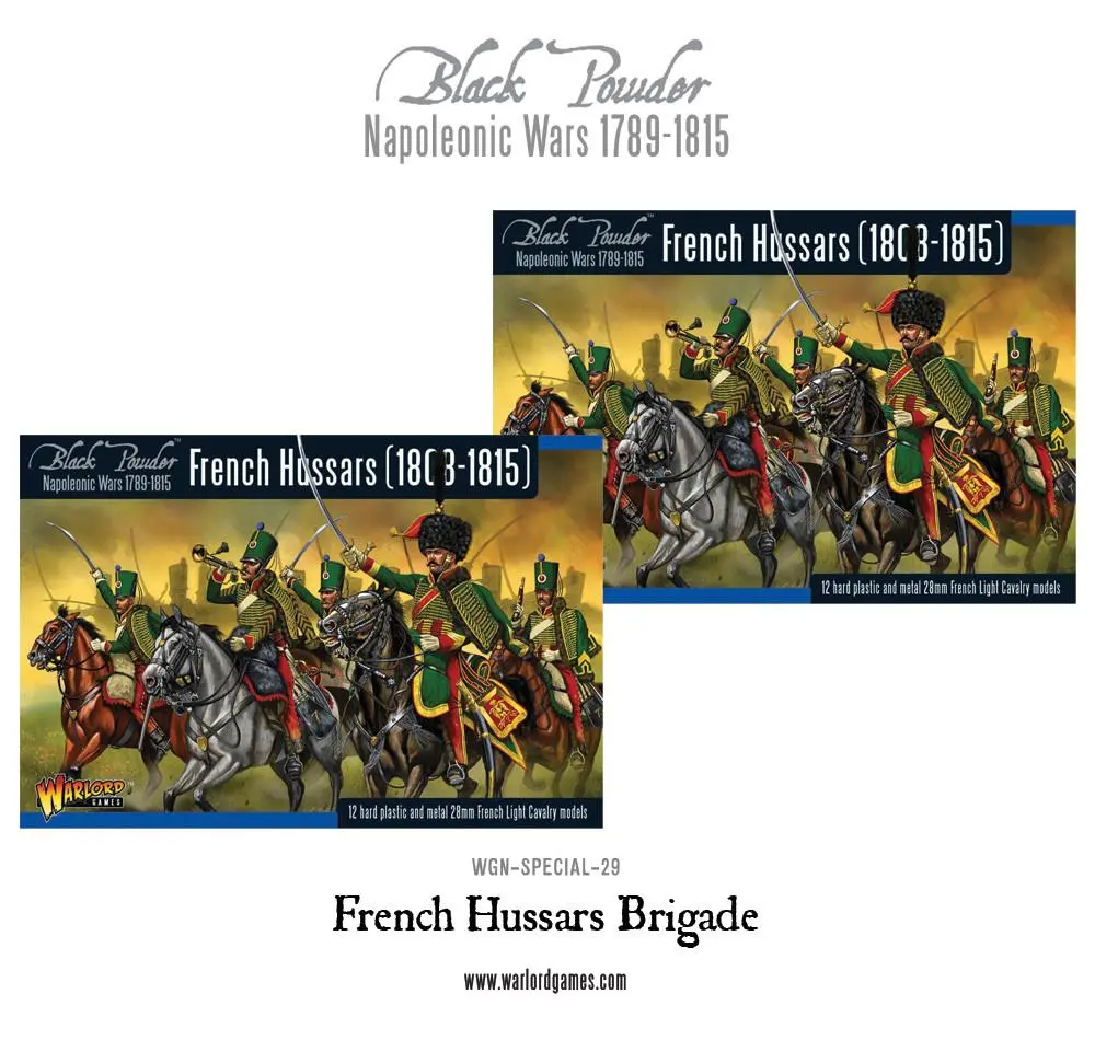 Napoleonic French Hussars Brigade 1