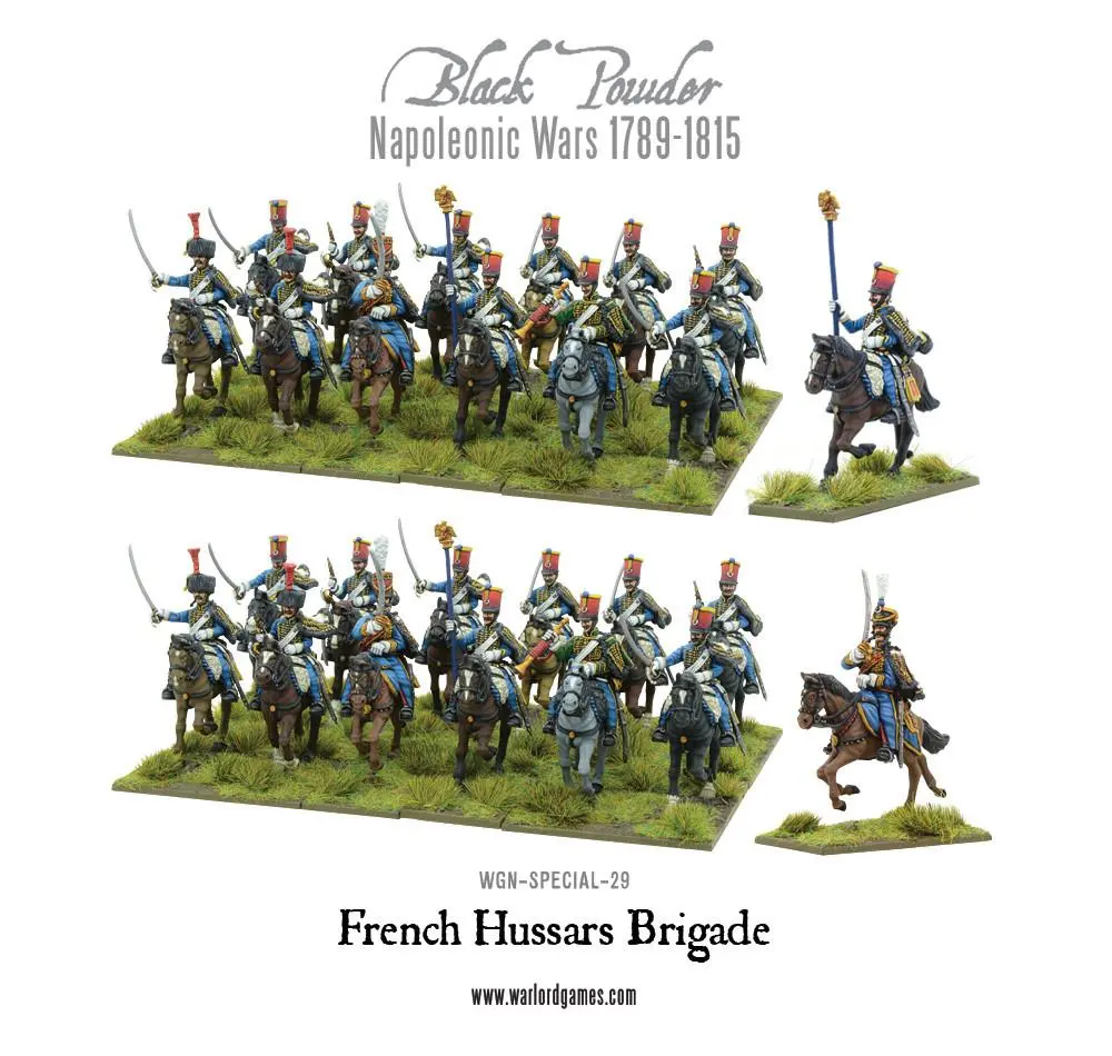 Napoleonic French Hussars Brigade 2