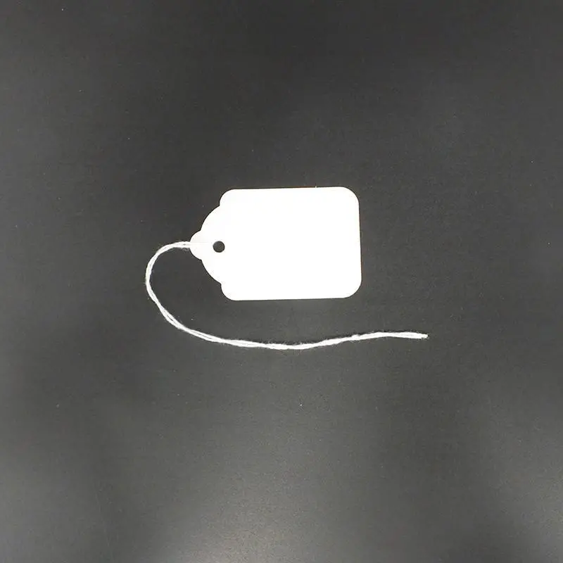 White Blank Item Tags (Box Of 400) 9 Sizes 8