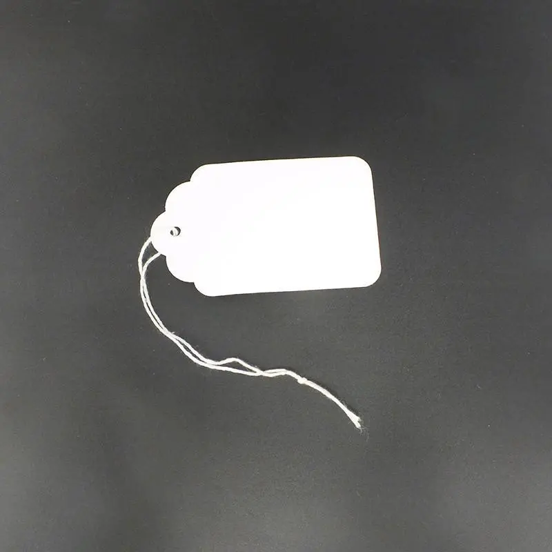 White Blank Item Tags (Box Of 400) 9 Sizes 9