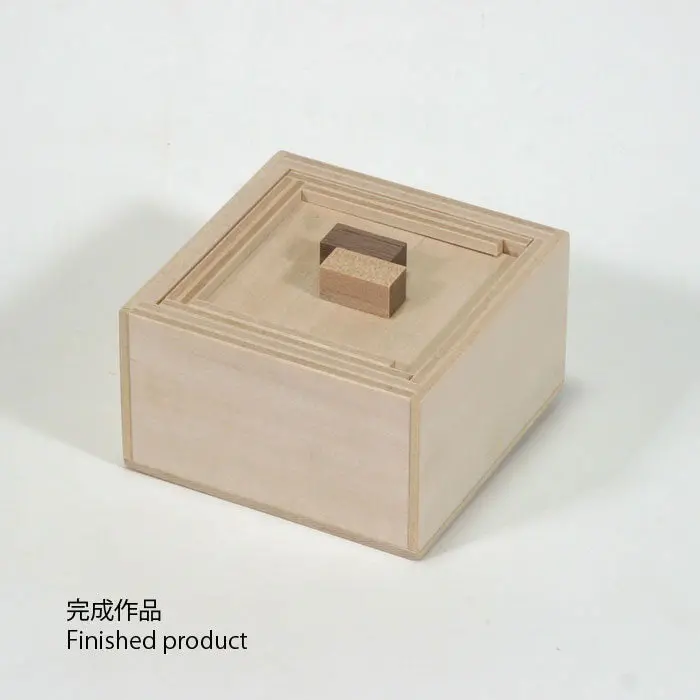 Puzzle Kit - Diy Newton Puzzle Box 2