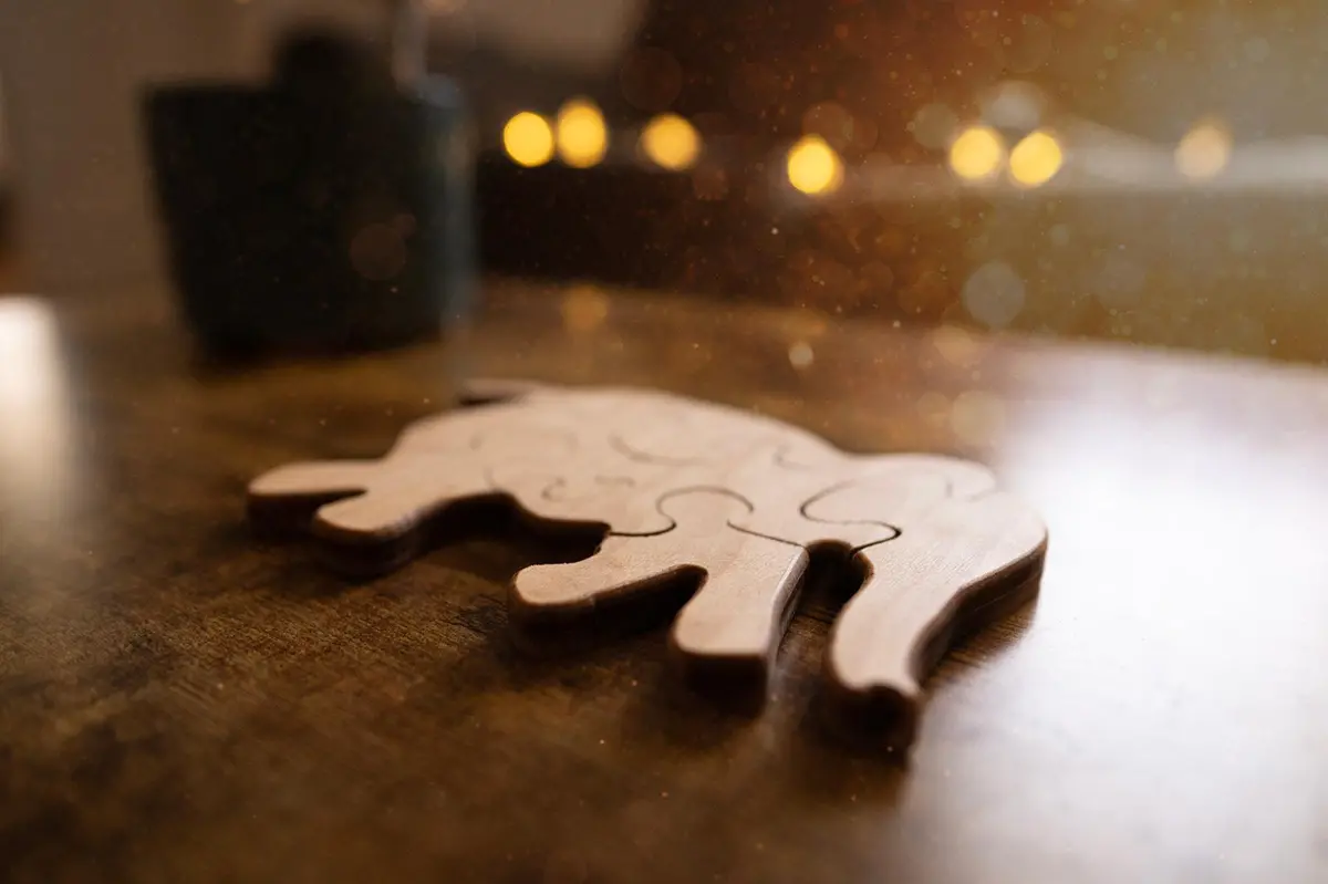 Double Sided Elephant Puzzle 2