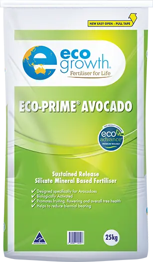Eco Prime Avocado 1