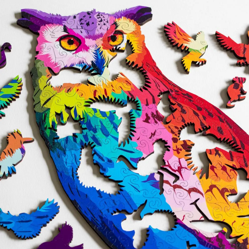 A Hoot Of Many Colors Puzzle 2