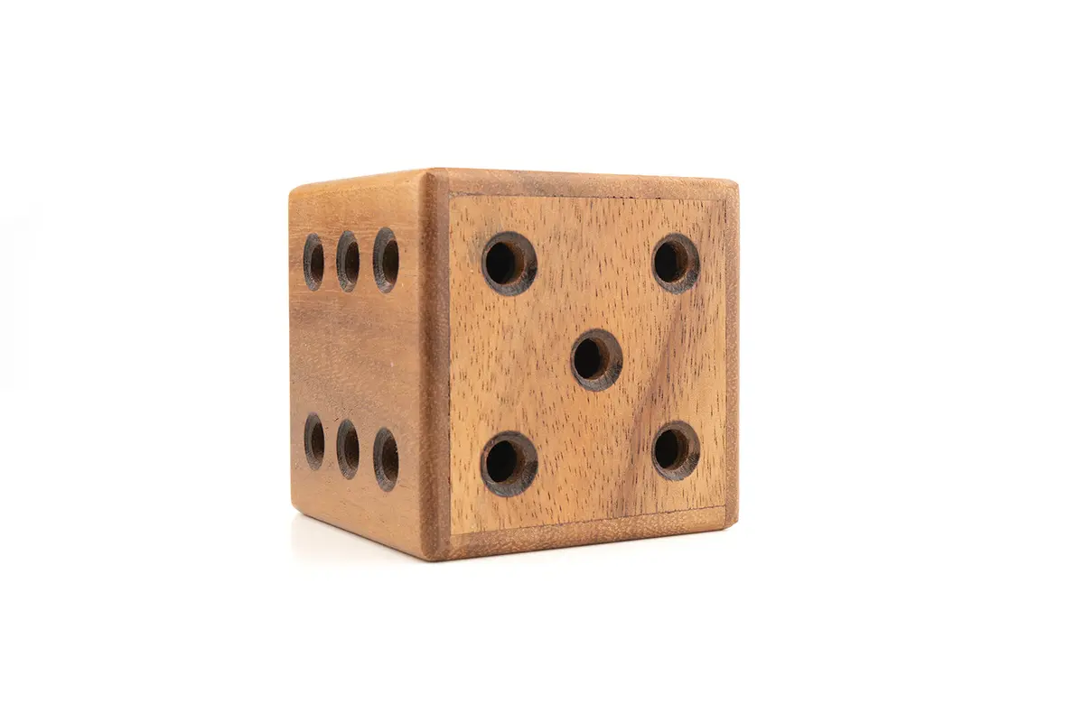 Dice Maze Puzzle - Wooden Brain Teaser Puzzle 1