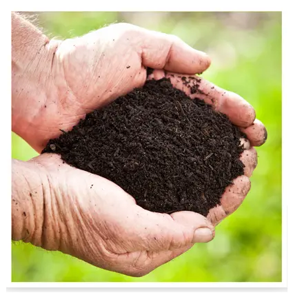 Turf Foundation Soil Improver 1