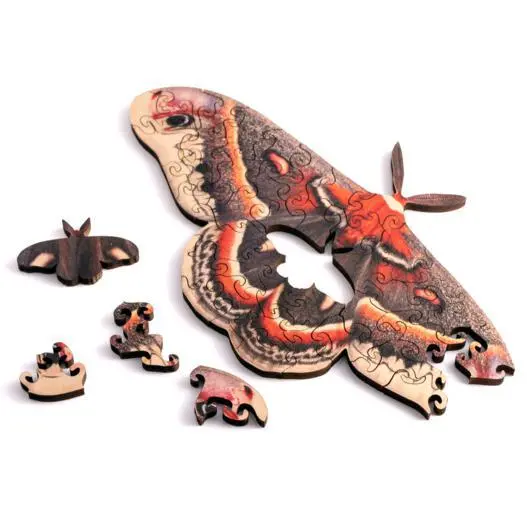 Mini Wooden Puzzles - Nervous System 5