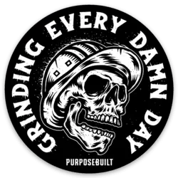 Every Damn Day Sticker 2.5In 1