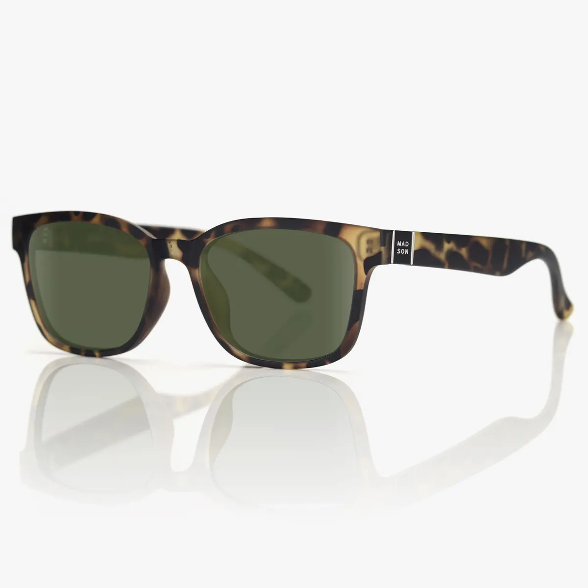 Ezra - Tortoise / G15 Polarized 1