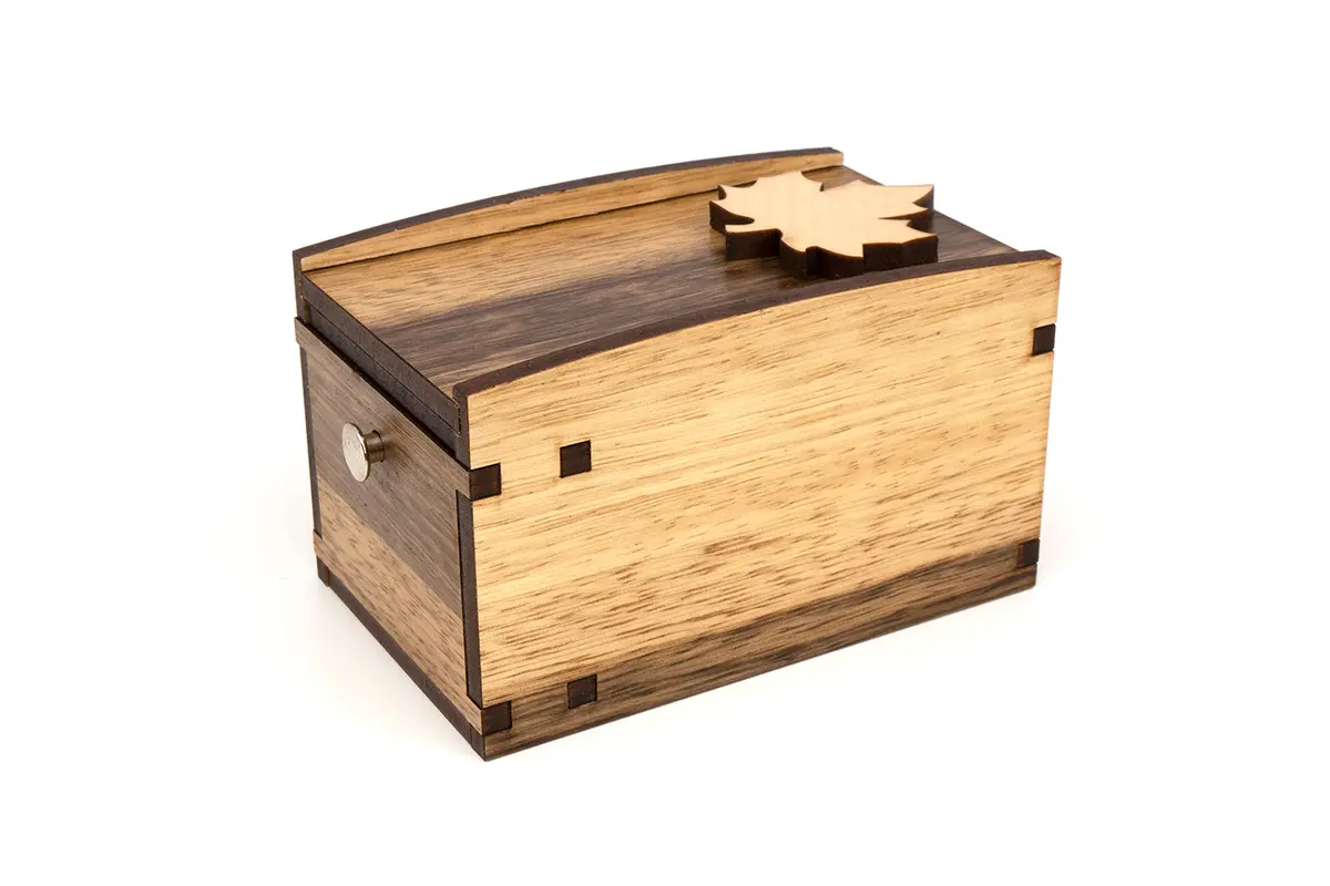 Secret Rad Puzzle Box - Clever Trick Opening Radbox Puzzle 2