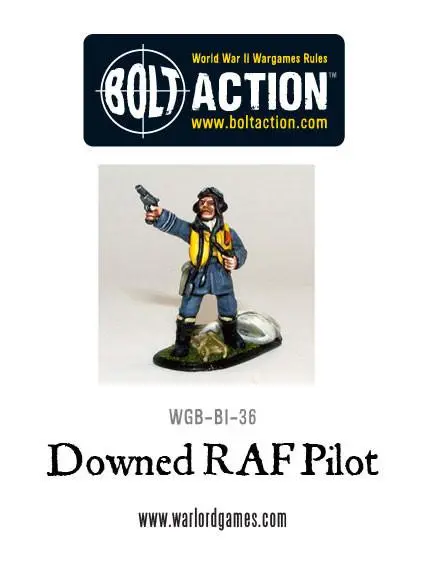 Downed Raf Pilot 1