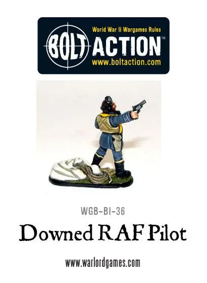 Downed Raf Pilot 2