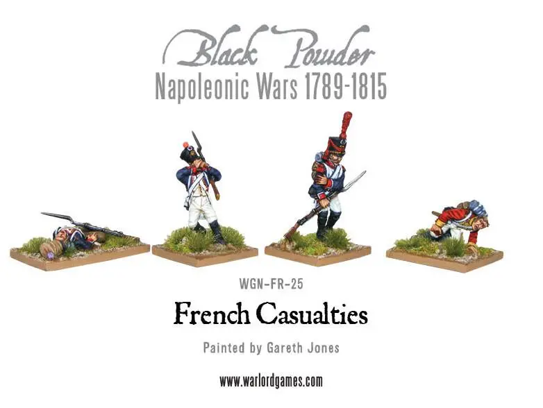Napolenic French Casualties 1