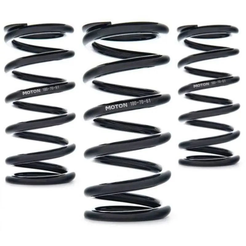 Ast Linear Race Springs - 300Mm Length X 110 N/Mm Rate X 61Mm Id - Set Of 2 1